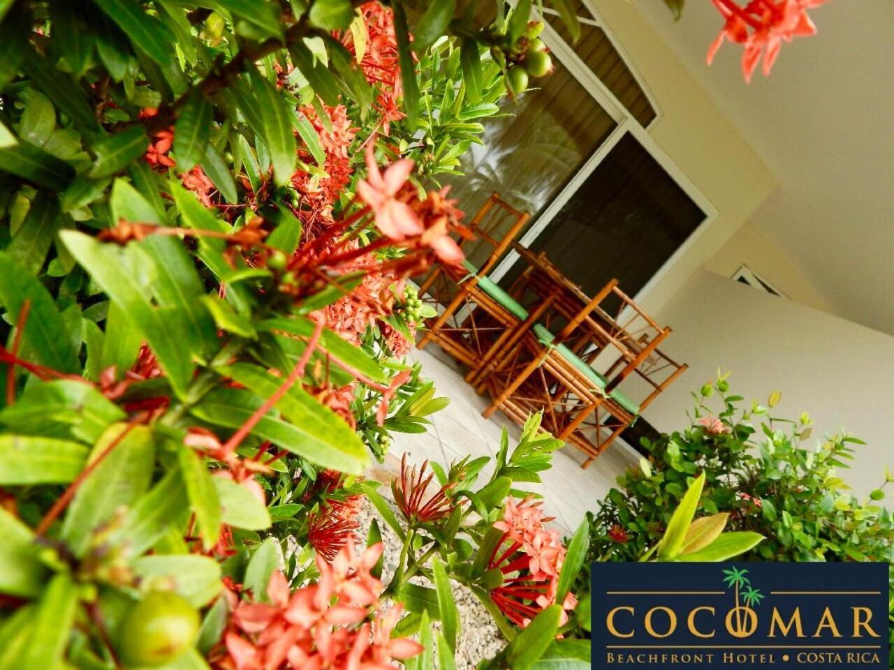 Cocomar Beachfront Hotel Parrita Εξωτερικό φωτογραφία