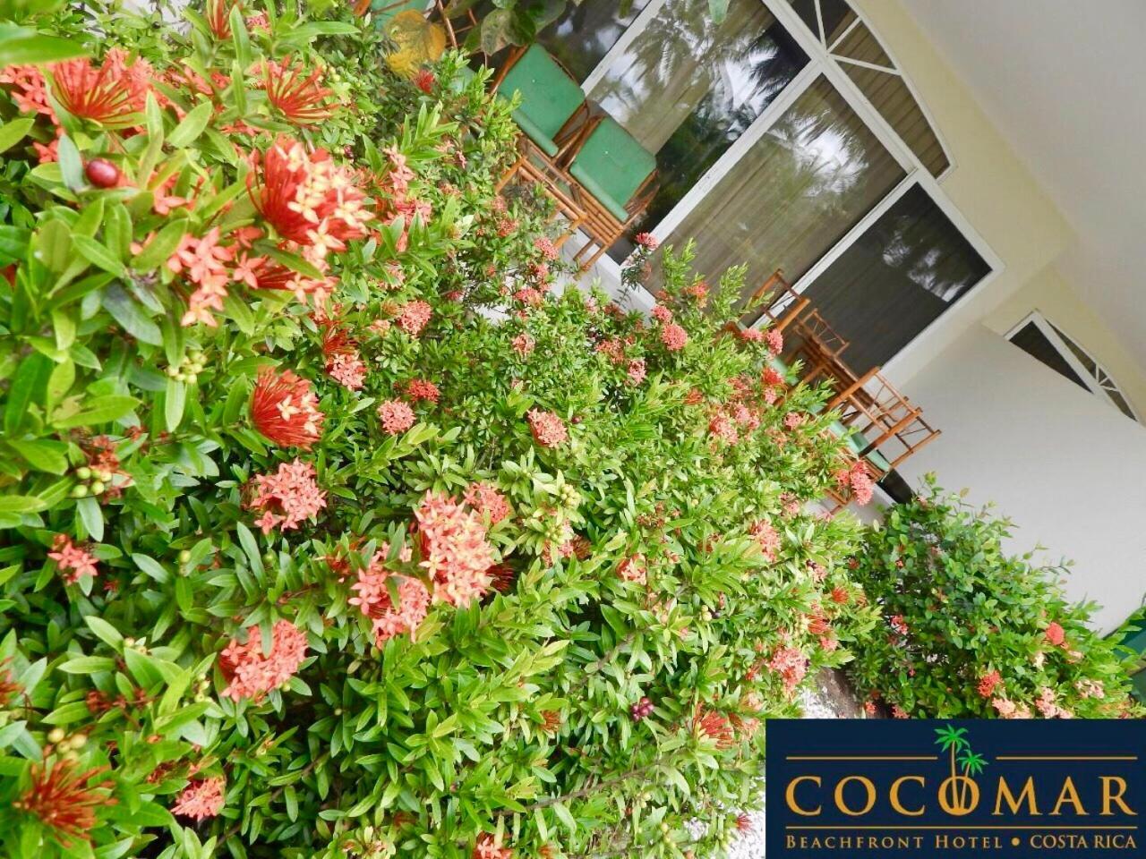 Cocomar Beachfront Hotel Parrita Εξωτερικό φωτογραφία